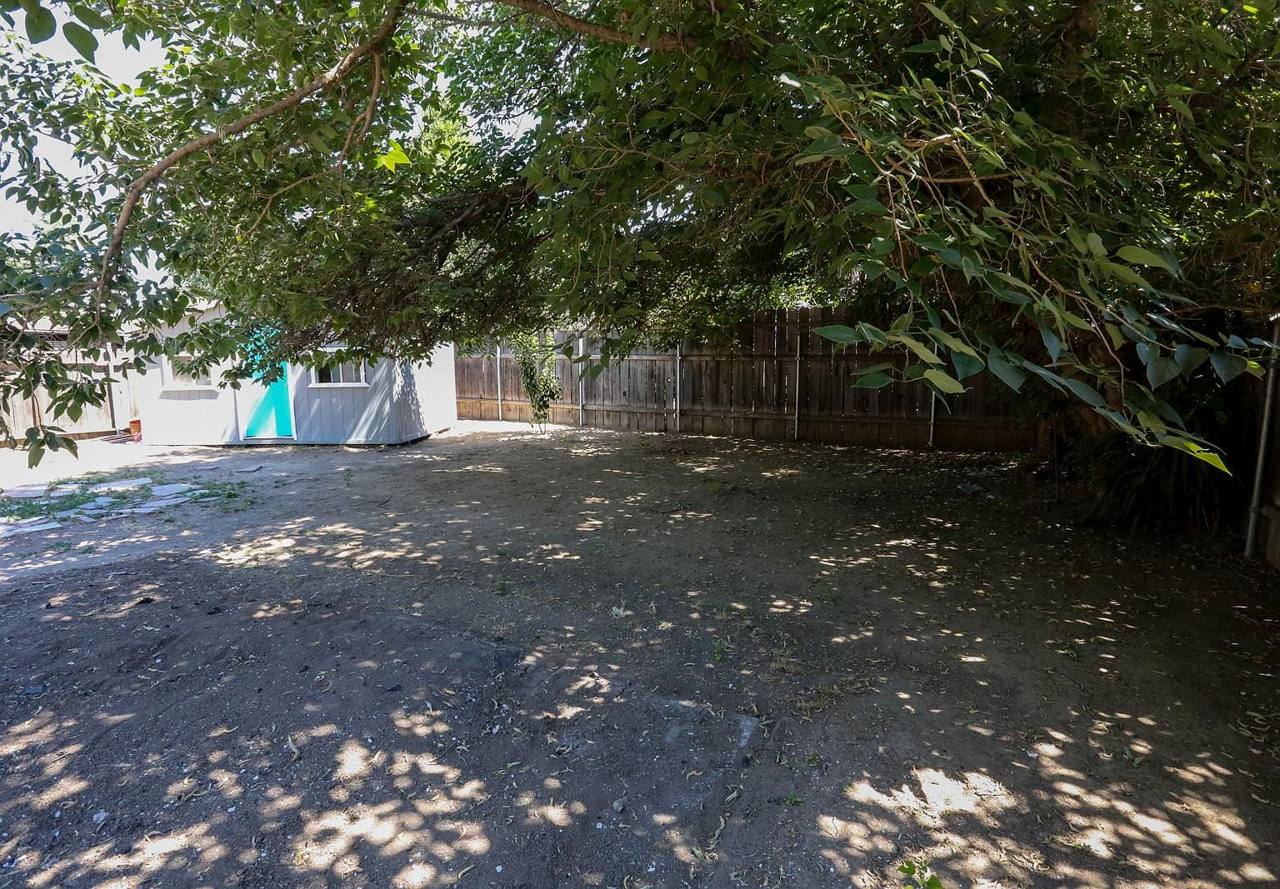 Shaded backyard