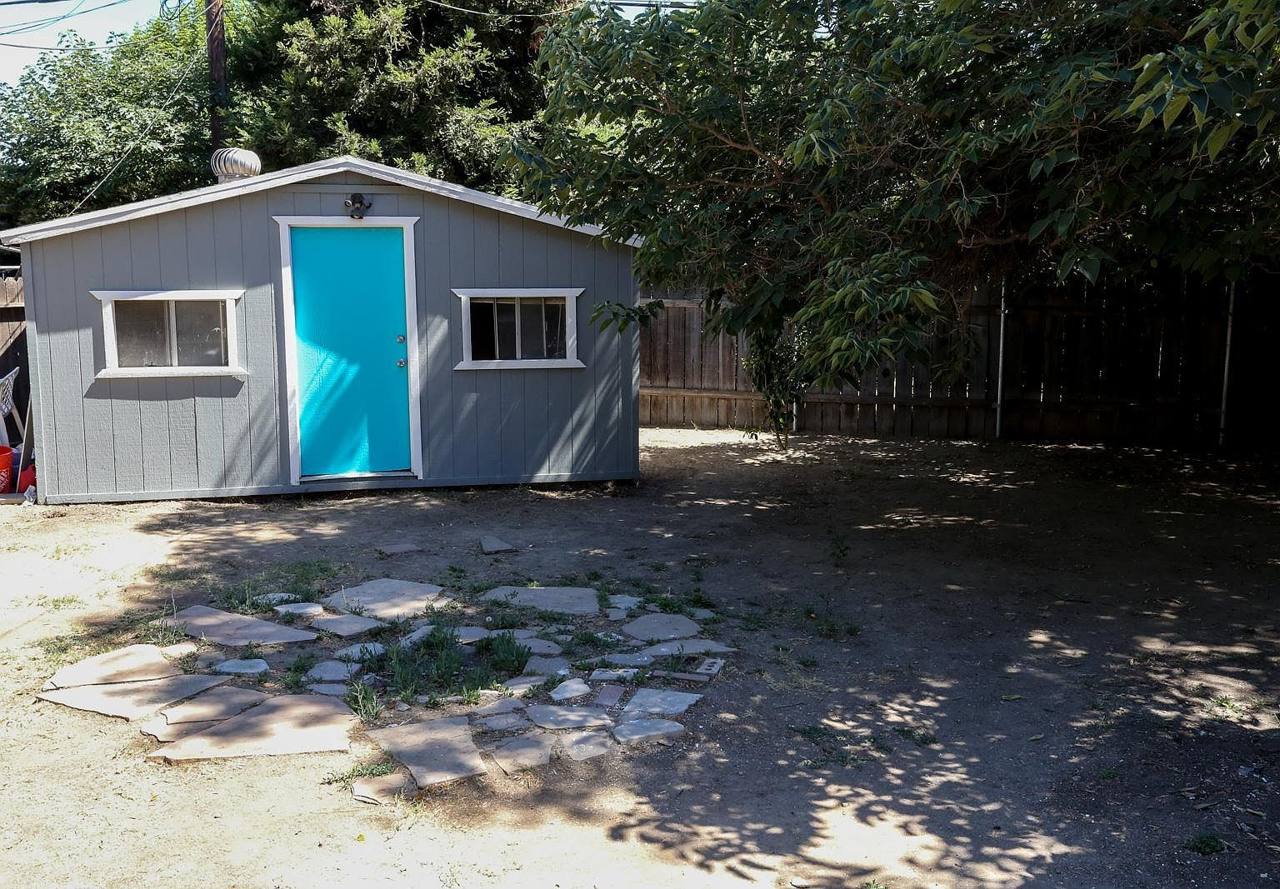 The backyard under mature trees